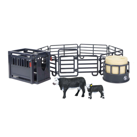 12-Piece Ranch Set