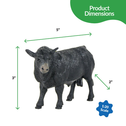 Angus Bull