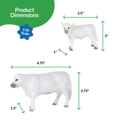 Charolais Cow & Calf